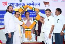 गोधन संरक्षण की दिशा में बड़ा कदम : मुख्यमंत्री विष्णु देव साय ने 11 जिलों में 29 गौधाम का किया शुभारंभ