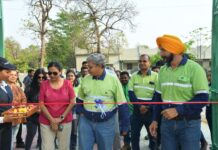 बालको टाउनशिप में ‘फॉरेस्ट वॉकवे’ बना प्रकृति और स्वास्थ्य का नया केंद्र