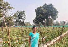 राष्ट्रीय ग्रामीण आजीविका मिशन ‘बिहान’ से बदली तस्वीर