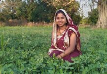 बालको की पहल से मूंगफली बनी किसानों की आय बढ़ाने का सशक्त माध्यम