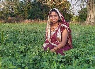 बालको की पहल से मूंगफली बनी किसानों की आय बढ़ाने का सशक्त माध्यम