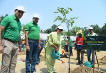 हर पौधा बनेगा एक स्मृति, हर वृक्ष रचेगा हरित विरासत की नई कहानी : सीईओ