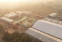 बस्तर के लालबाग में वनोपज से सजी 20,700 वर्गफीट की भव्य रंगोली ने रचा विश्व रिकॉर्ड, राष्ट्रपति श्रीमती द्रौपदी मुर्मु ने किया अवलोकन